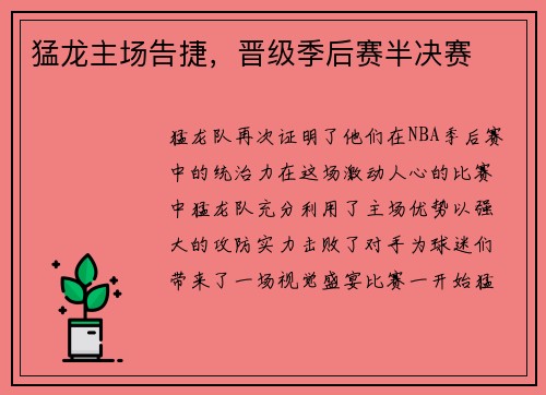 猛龙主场告捷，晋级季后赛半决赛